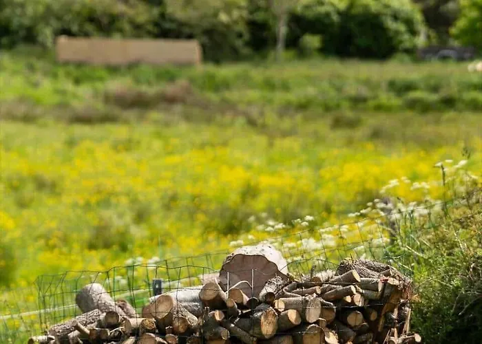 Oh291-hadsund-mollevaenget-16 Hébergement de vacances *